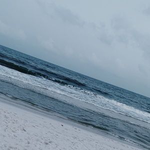 Meet your Posher, Reagan